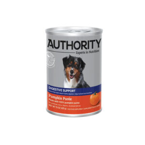 french bulldog for sale