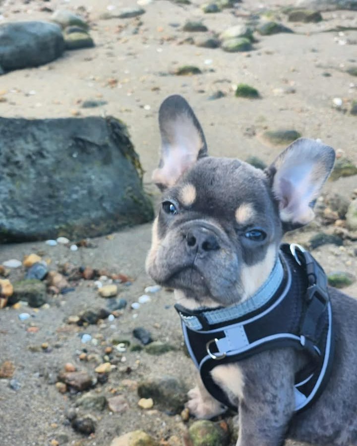 "Love our boy so much!!"