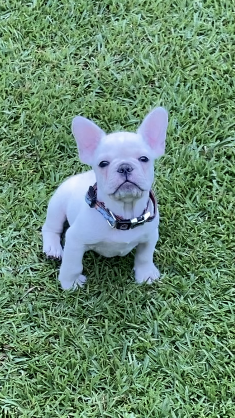 "Best Decision Ever!"